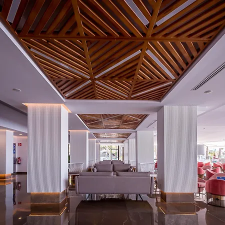 シンベル ベニドルム